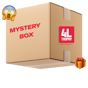 Mystery Box de Noël