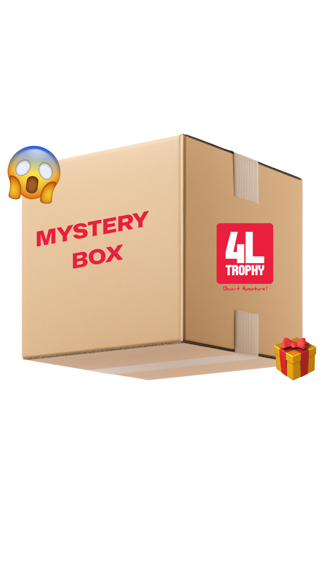 Mystery Box de Noël